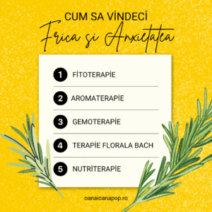 Workshop online din 5 Webinarii: Cum gestionam Frica si Anxietatea cu Remedii Naturale