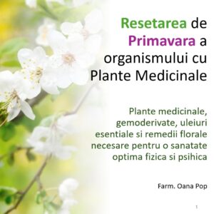 Resetarea de Primavara a organismului cu Plante Medicinale